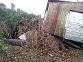Click image for larger version

Name:	20131227_150930.jpg
Views:	434
Size:	125.4 KB
ID:	294786