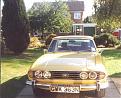 Stag small